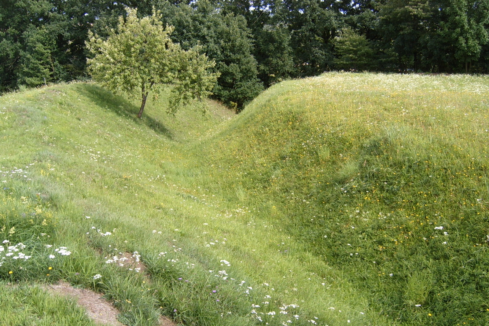 hrad