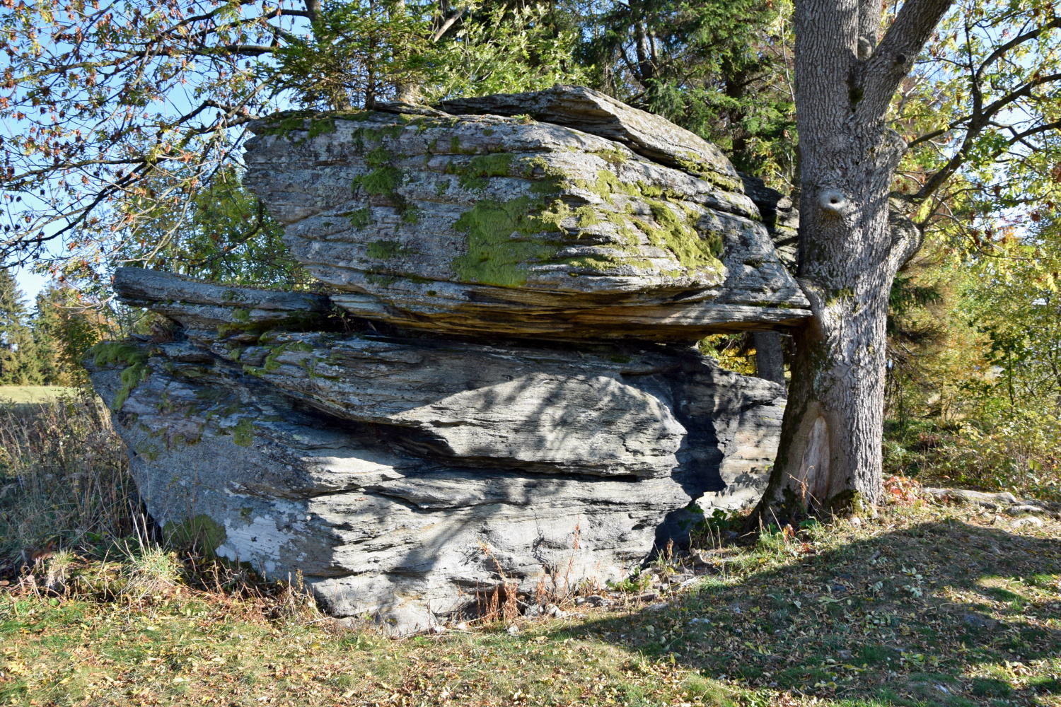 Čertův kámen - kamenná sfinga (www.moravskyturista.cz)